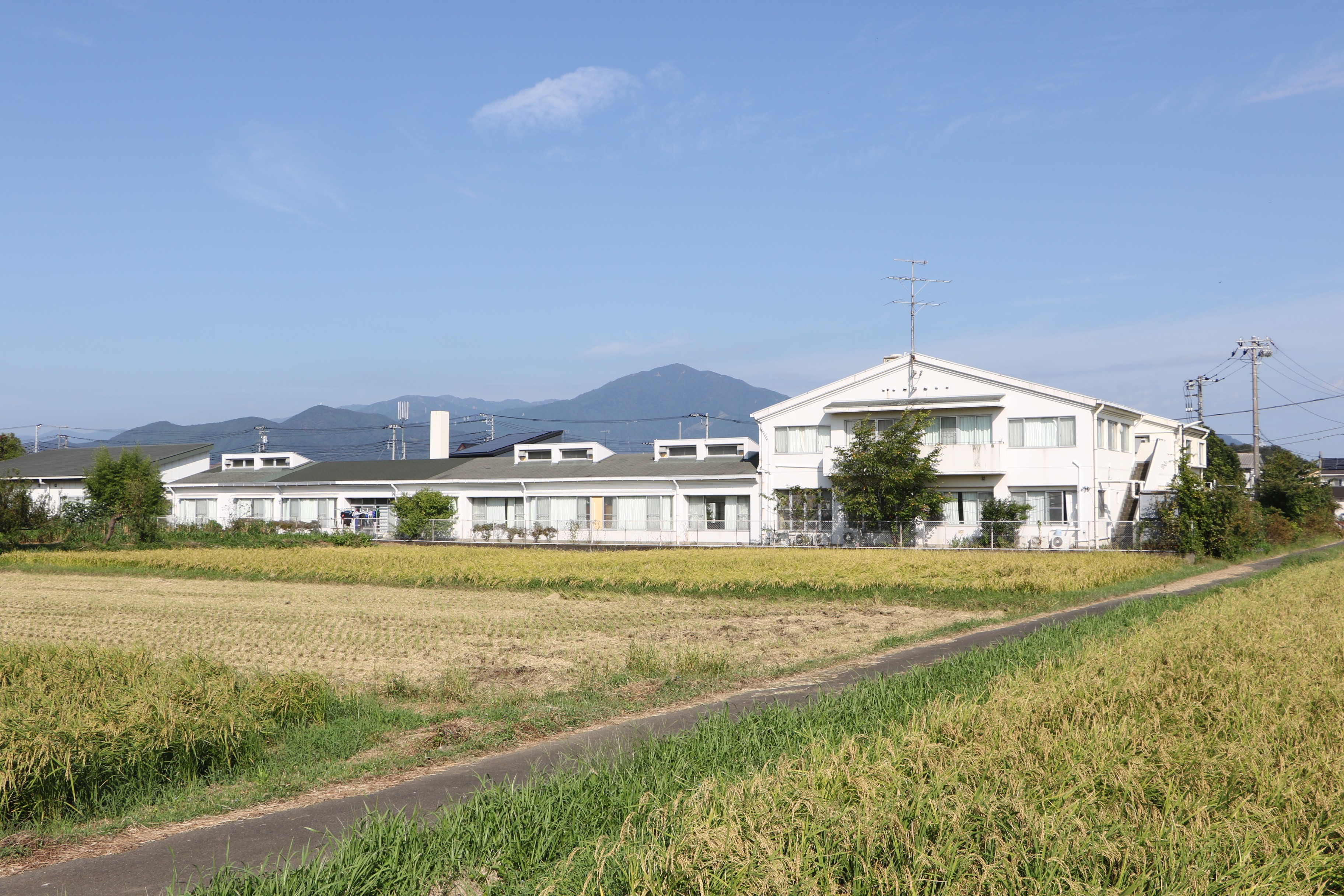 精陽学園